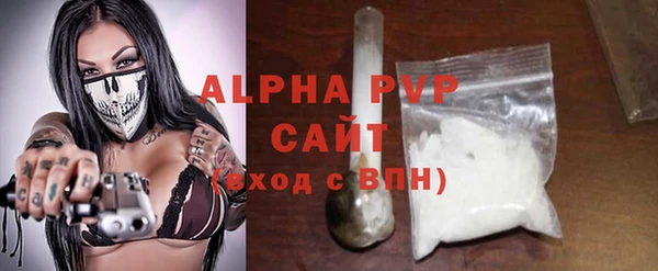 молекула духа Болхов