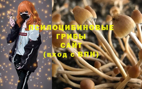 мет Верхний Тагил