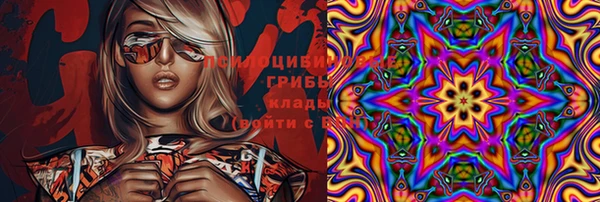 индика Бутурлиновка