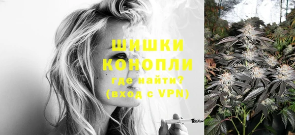 молекула духа Болхов