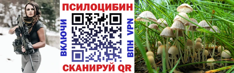 Галлюциногенные грибы Cubensis  Дигора 